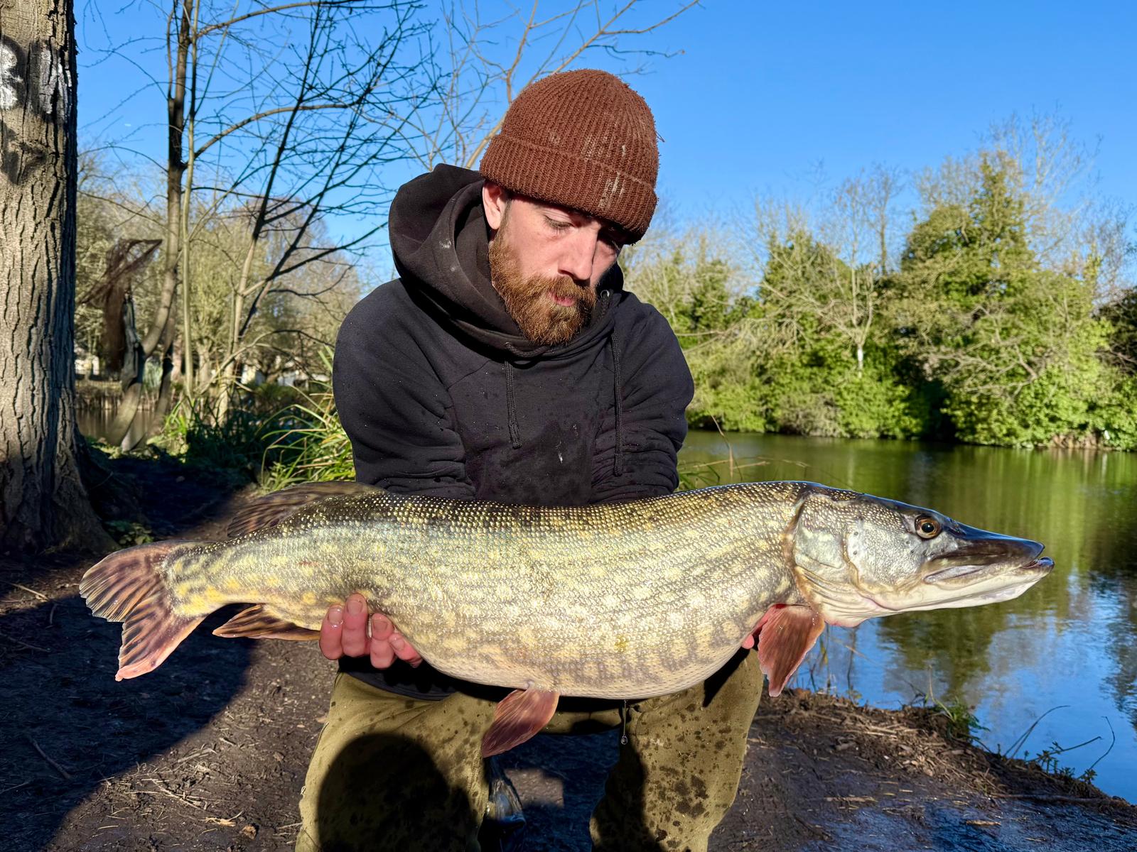 WhatsApp Image 2026-03-08 at 16.31.1533