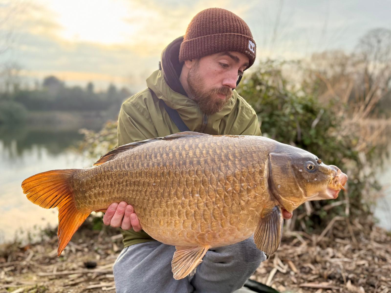 WhatsApp Image 2026-03-08 at 16.31.155