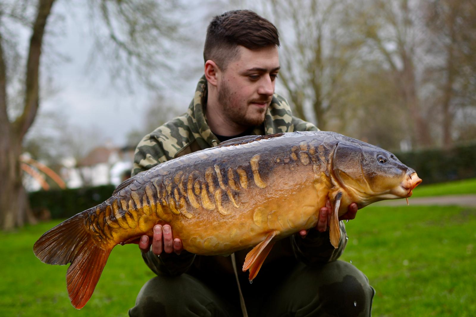 WhatsApp Image 2026-03-08 at 16.31.16--