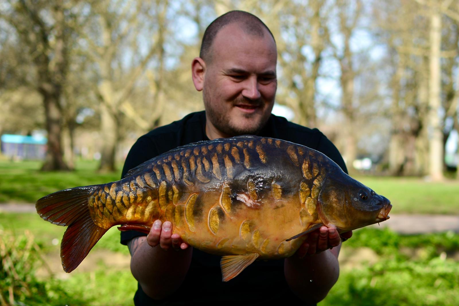 WhatsApp Image 2026-03-08 at 16.31.166