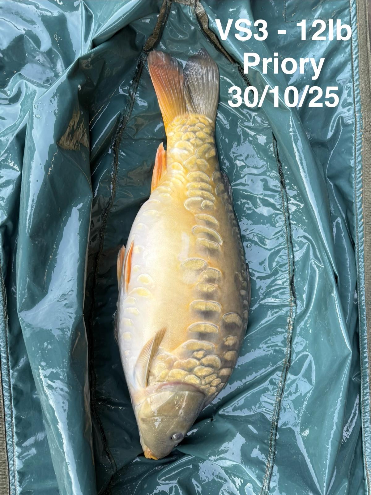 WhatsApp Image 2026-03-08 at 16.37.21