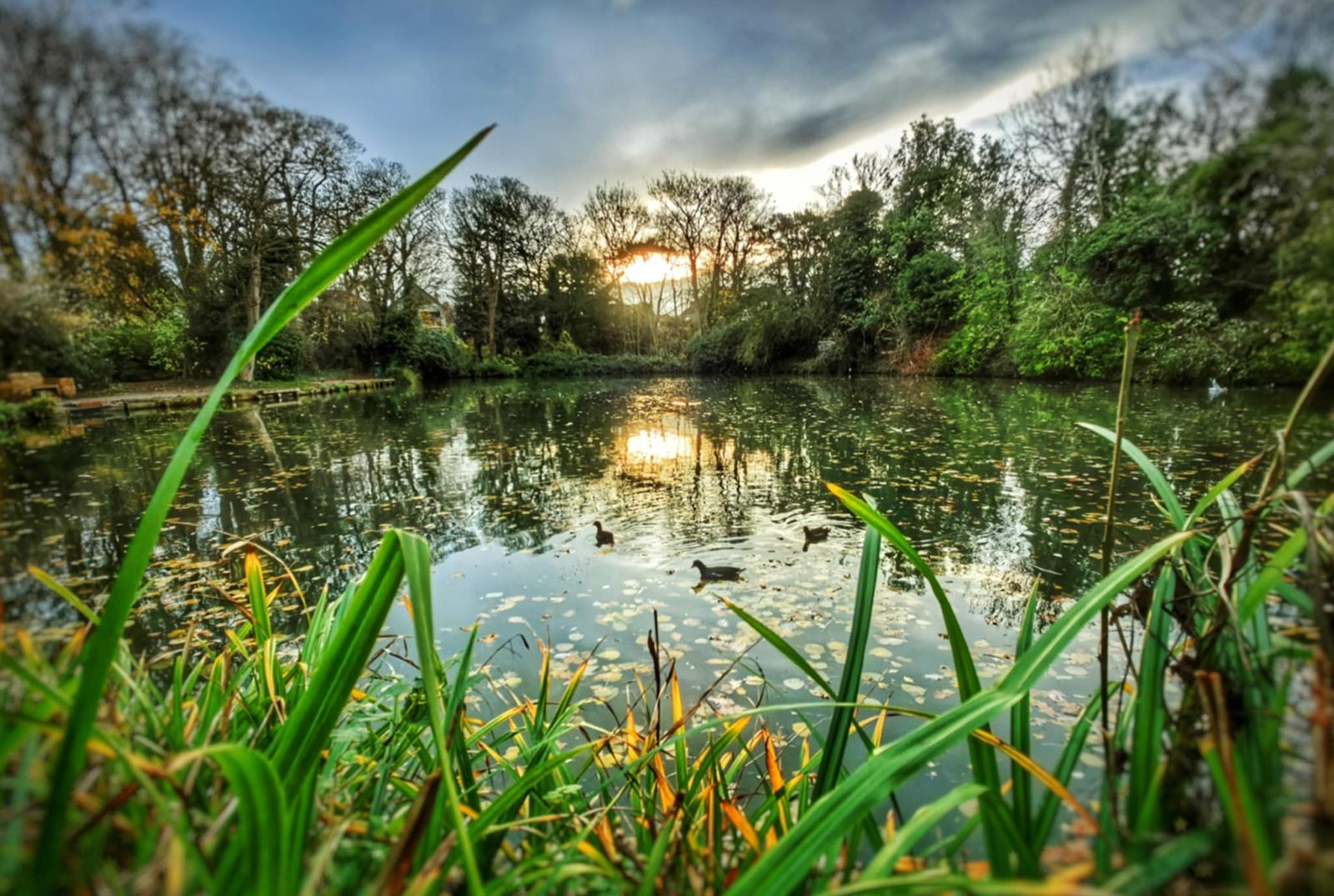 WhatsApp Image 2026-03-10 at 10.36.48pp